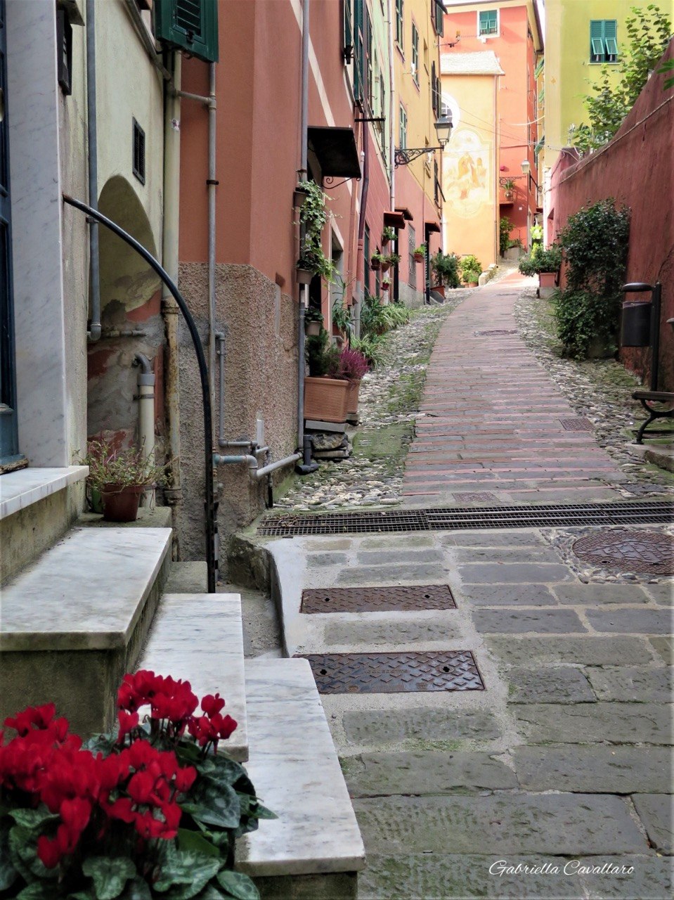 scorcio creuza sorese