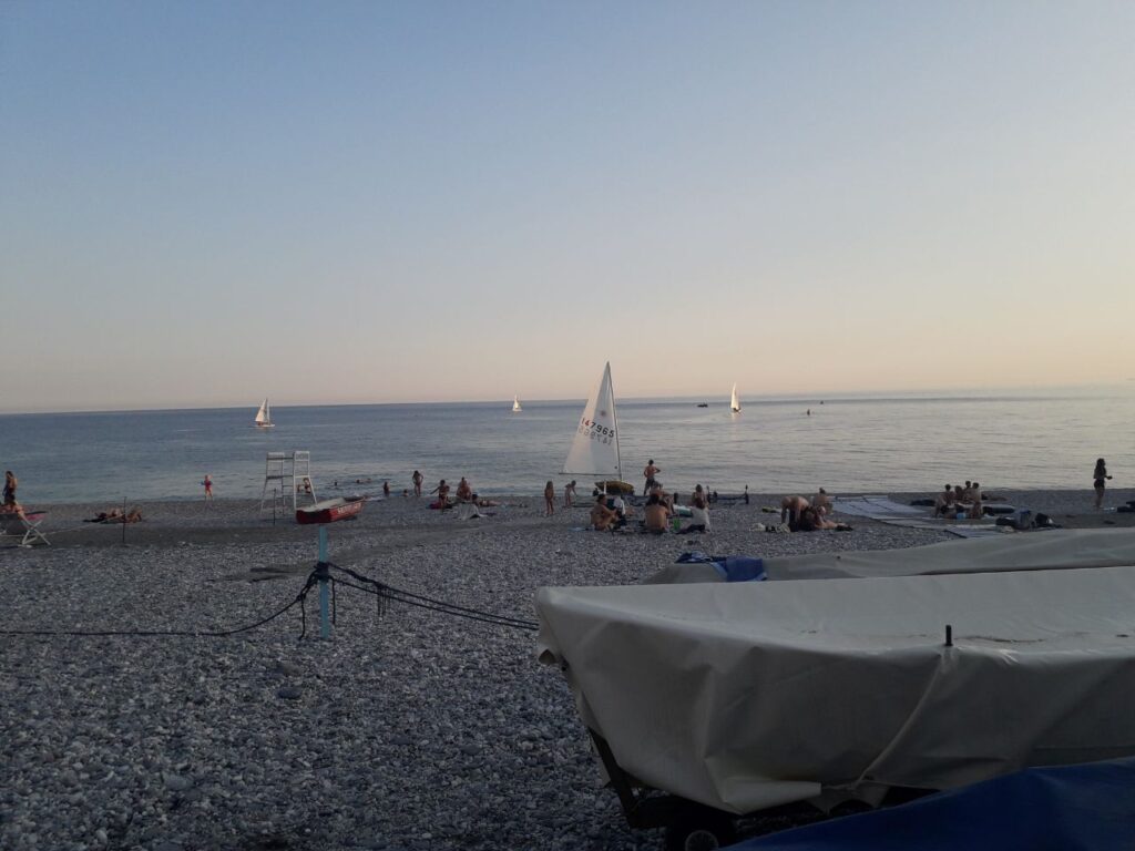 velasera 260626
