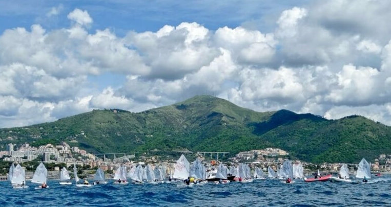 optimist regata
